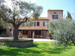 A traditional brick building with a tiled roof, a stone fountain, and an olive tree in the foreground. - The Tower in Solebello (Morro D' Alba)