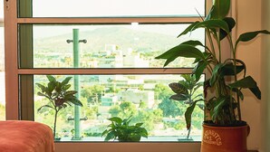 Deluxe Double Room | View from room - Dodo Horizontes Chapultepec (Guadalajara)