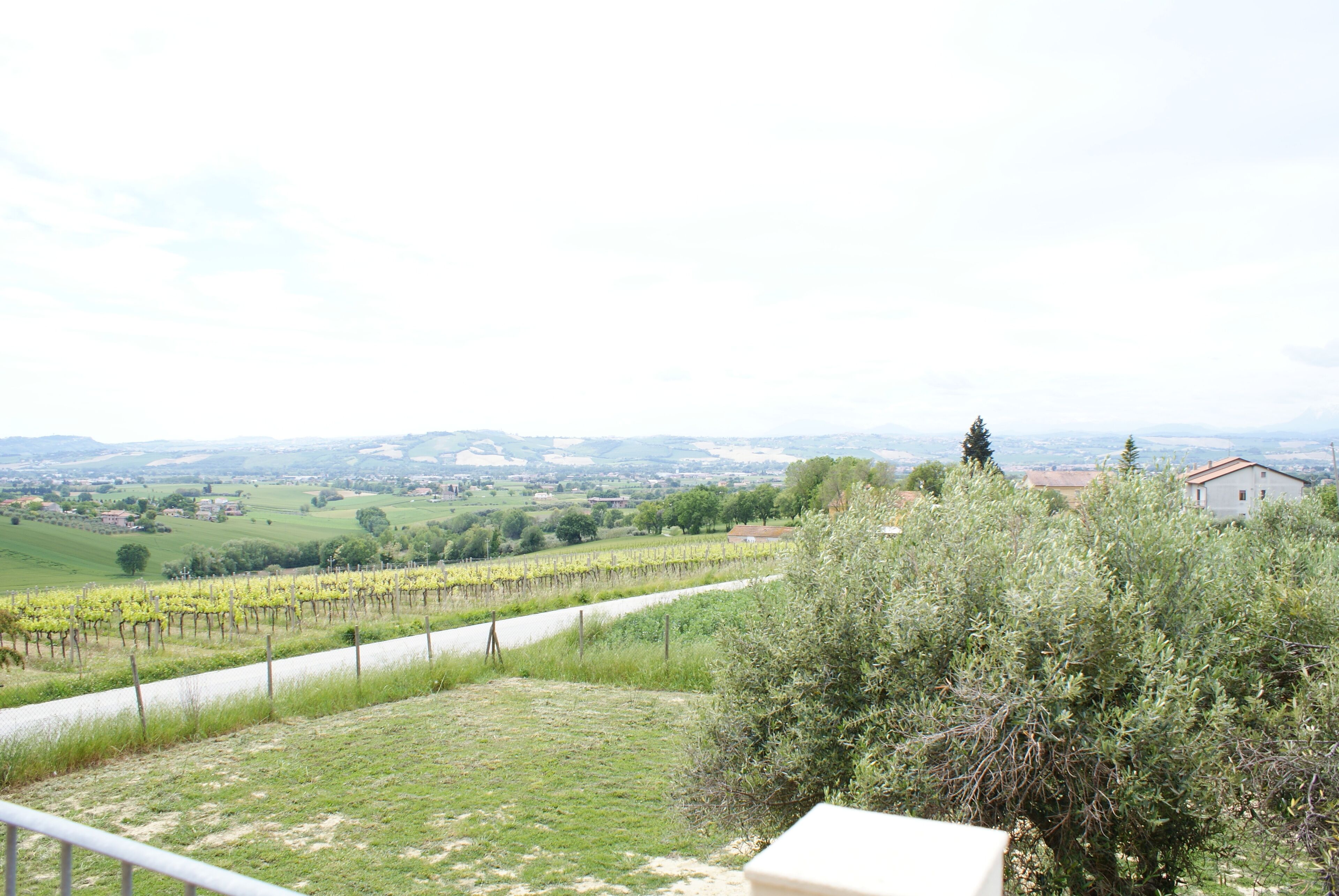 Vue depuis l’hébergement