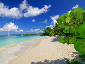 Playa en los alrededores 