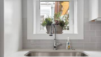 Eine Küche mit einer Edelstahl-Spüle, einem Fenster mit Topfpflanze und einer Flasche Dial Spülmittel.