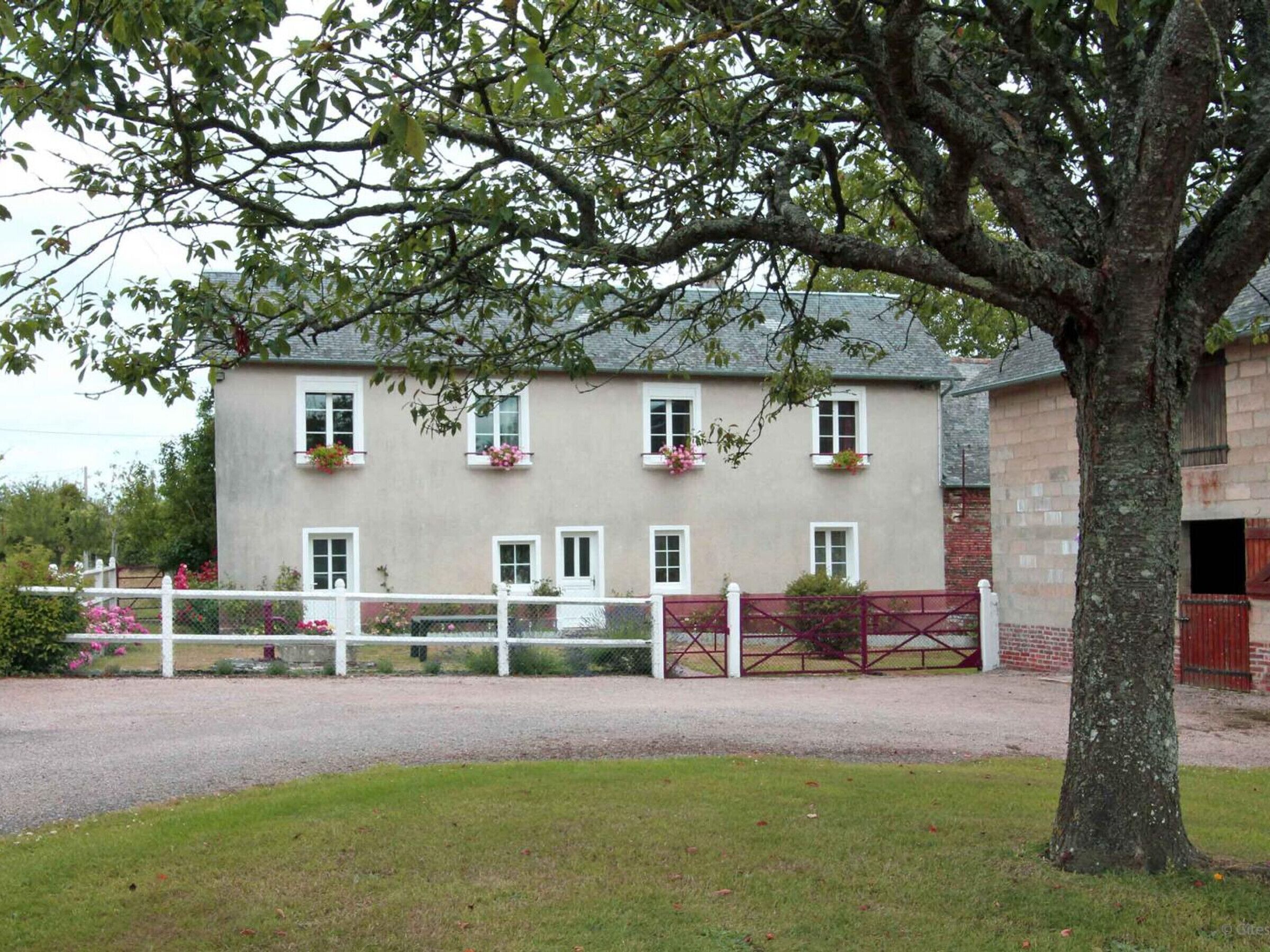 Eksteriør
