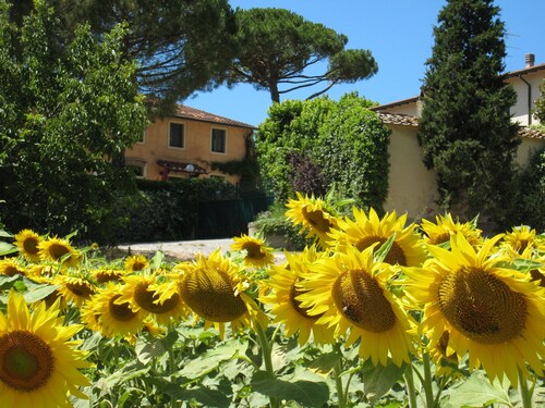 Buon Riposo - Farmhouse in the heart of Tuscany with free WIFI area