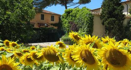 Buon Riposo - Farmhouse in the heart of Tuscany with free WIFI area
