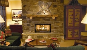 TV, fireplace, video games, DVD player