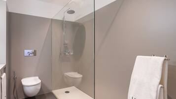 Shower, hair dryer, bidet, towels