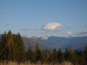 Uklassifisert bilde, 5 av 14, knapp