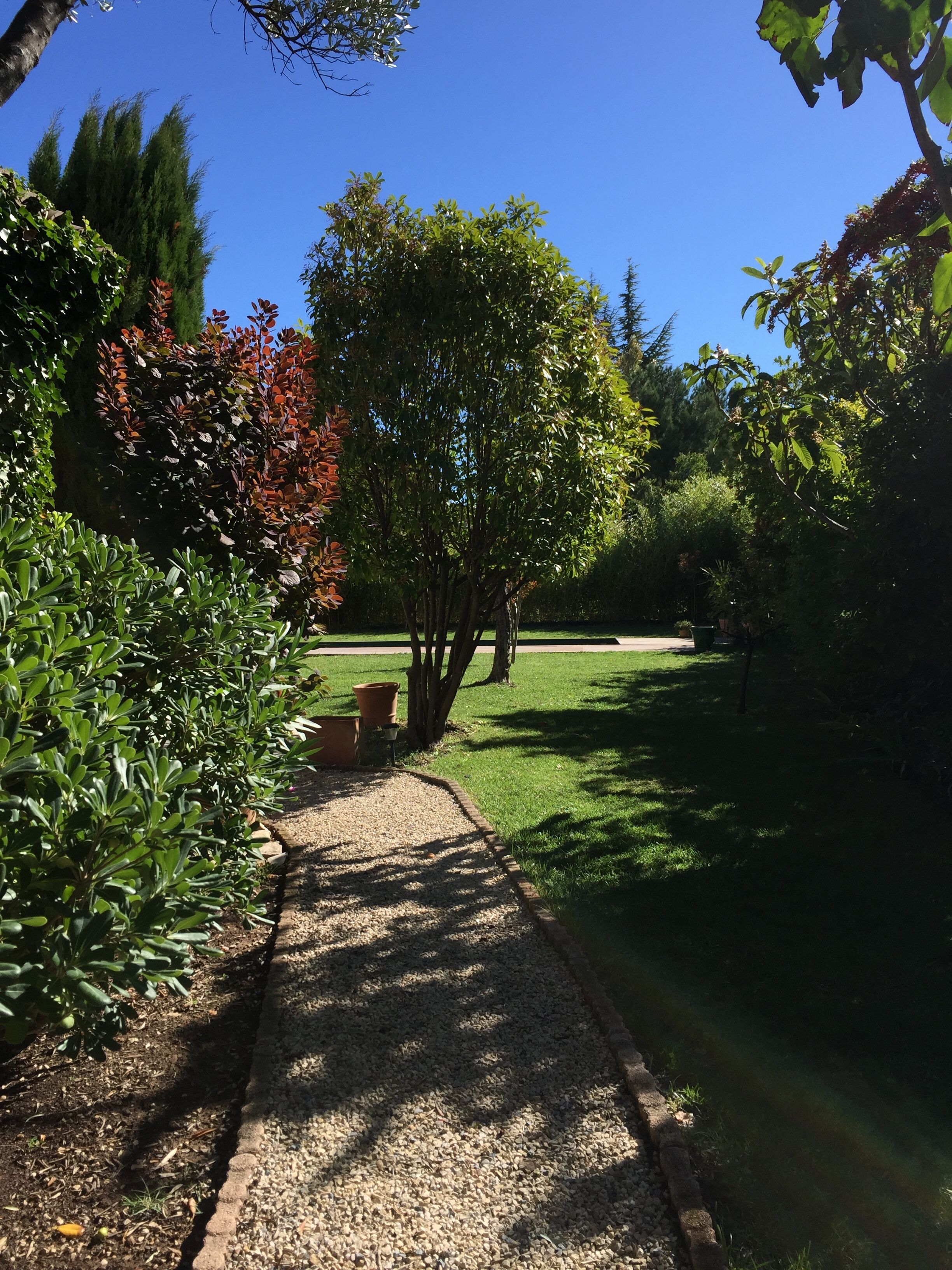 A garden pathway with gravel, surrounded by various shrubs and trees.