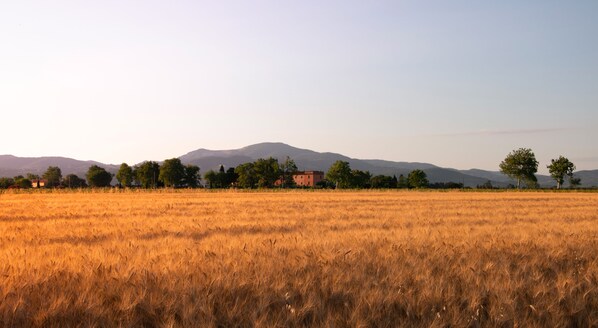 Terrain de l’hébergement 