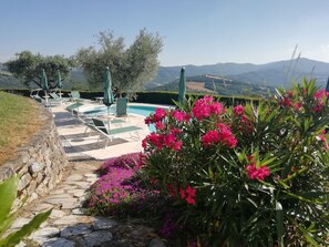 Alberca