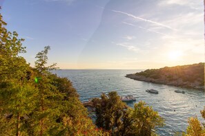 Eine Küstenlandschaft mit klarem Himmel, Bäumen und Booten auf dem Wasser.