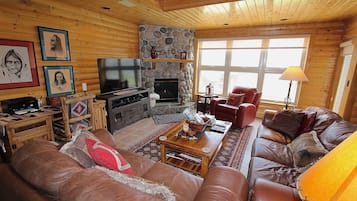 Tv, pejs, dvd-afspiller, videobibliotek