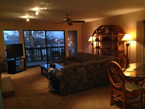 Televisión, chimenea, videojuegos y reproductor de DVD