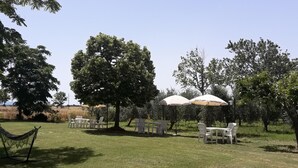 A grassy outdoor area with picnic tables and umbrellas, surrounded by trees.