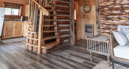 Remote Cabin w/Loft in Beautiful Southwest Colorado - Pet Friendly - Sleeps 6