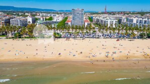 Une plage bordée de palmiers, avec une vue sur la ville en arrière-plan.