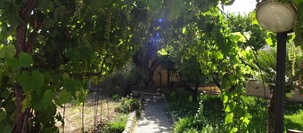 Casetta degli Ulivi - Casetta con giardino a 5 minuti dalla spiaggia