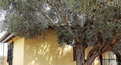 Casetta degli Ulivi - Small house with garden 5 minutes from the beach