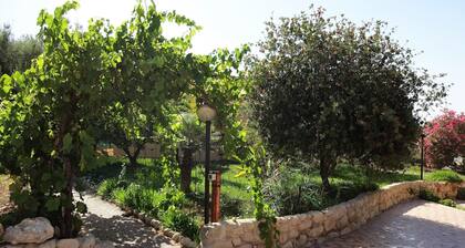 Palma - Villa Il Mandorlo - Sea view 5 minutes from the beach