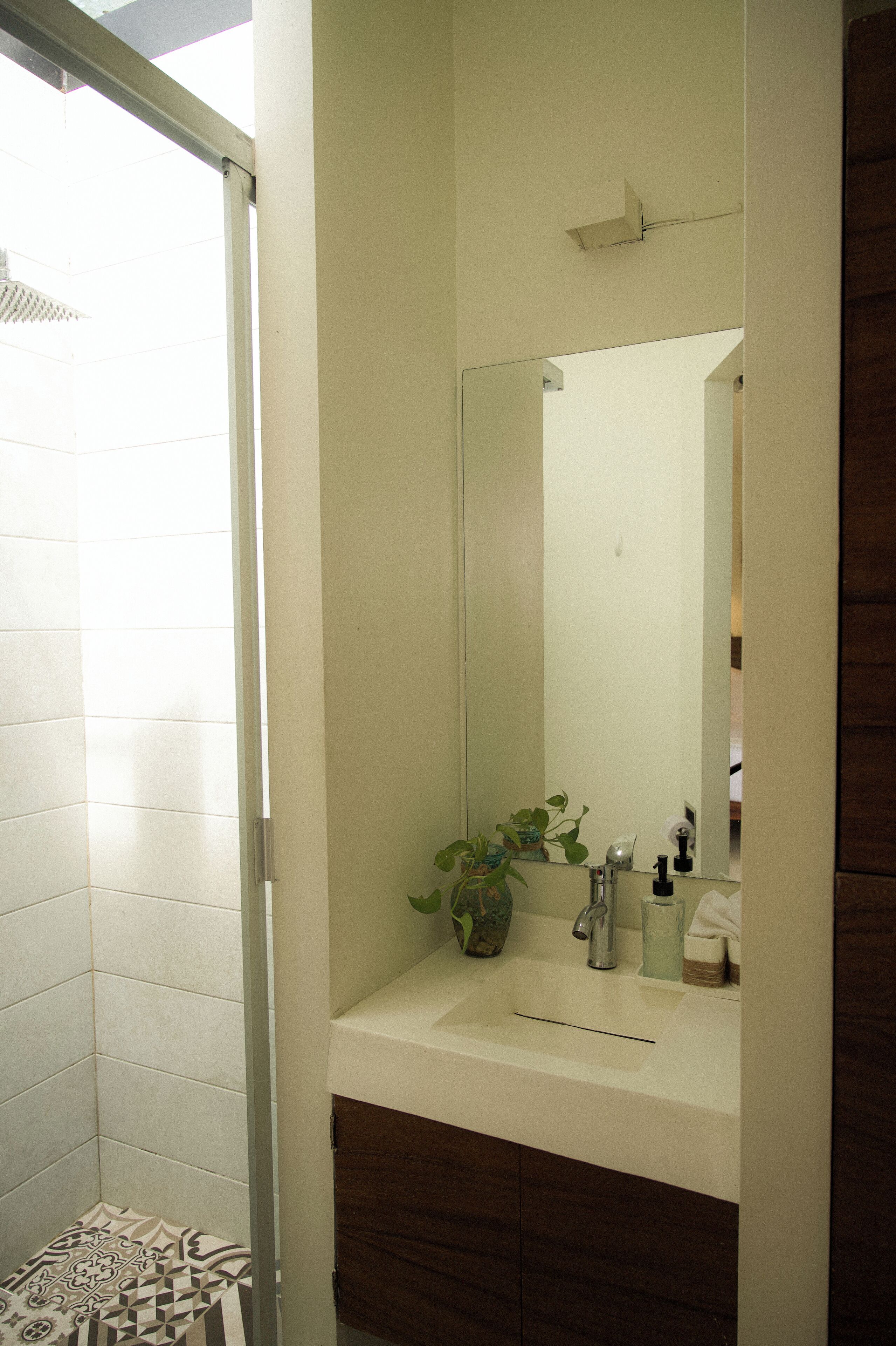 A bathroom with a white sink, a mirror, a potted plant, and a shower area.
