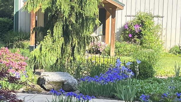 Un jardin où l’on trouve une grande variété de plantes et de fleurs, une pergola et un bâtiment doté d’un toit végétalisé.