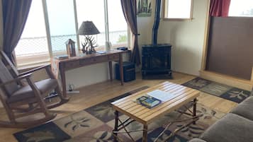 智能电视、壁炉、DVD 播放器、书