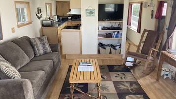 Smart TV, fireplace, DVD player, books