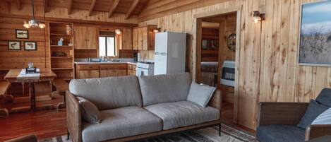 Télévision, cheminée, livres