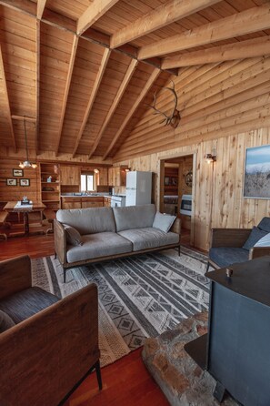 TV, fireplace, books