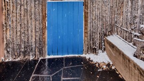 A blue gate in a snowy outdoor area with a brick wall and wooden fence.