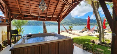 Magnificent property with Jacuzzi and private dock