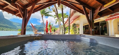 Magnificent property with Jacuzzi and private dock