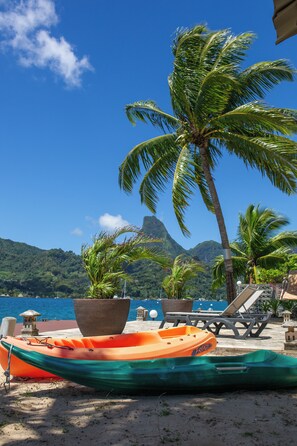A beach scene with a row of lounge chairs, a boat, and palm trees.