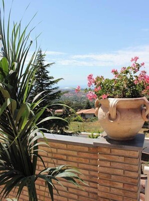 Property grounds - One-Bedroom Apartment with Terrace and Sea View (Trecastagni)