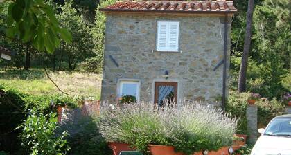 Die Scheune von Penelope - Typisches toskanisches Bauernhaus, umgeben von viel Grün