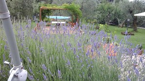 En trädgård med lavendelplantor, en träpergola och en pool i bakgrunden.