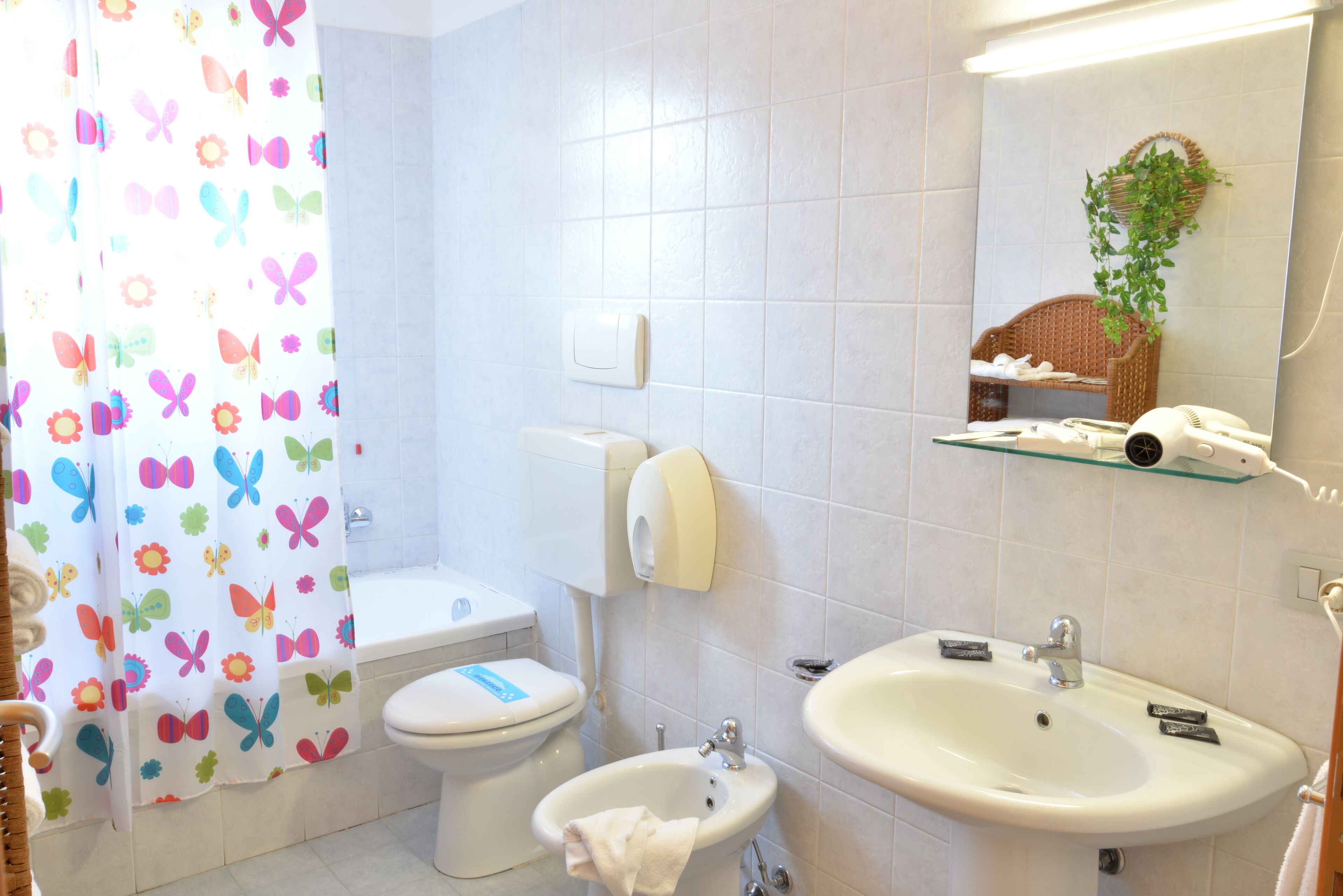 Bathtub, hair dryer, bidet, towels