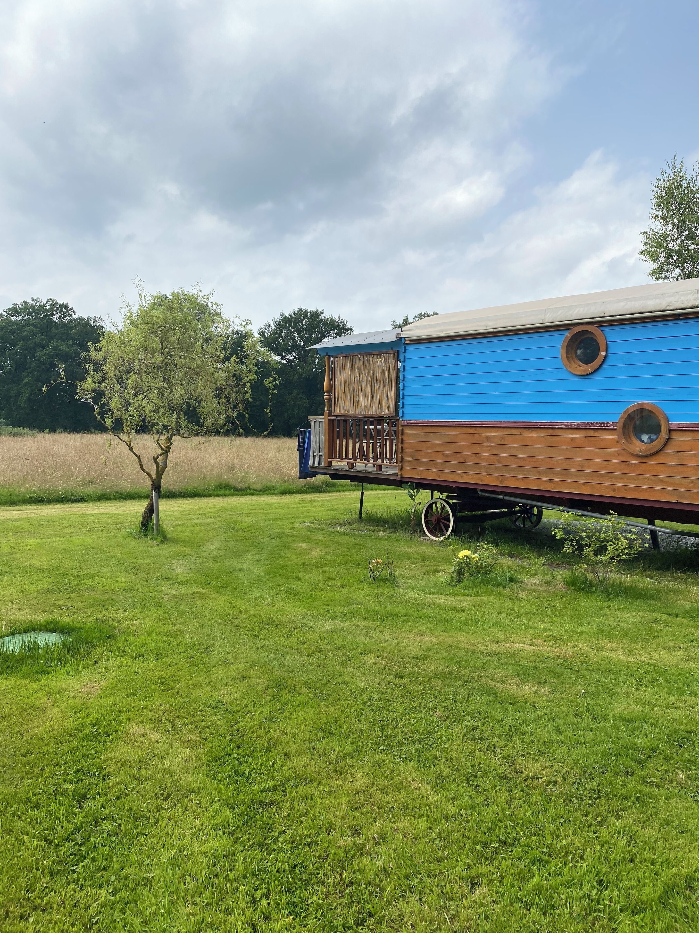 Un camping-car bleu et marron est garé dans un champ herbeux, avec des arbres en arrière-plan.
