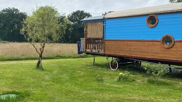 Un camping-car bleu et marron est garé dans un champ herbeux, avec des arbres en arrière-plan.