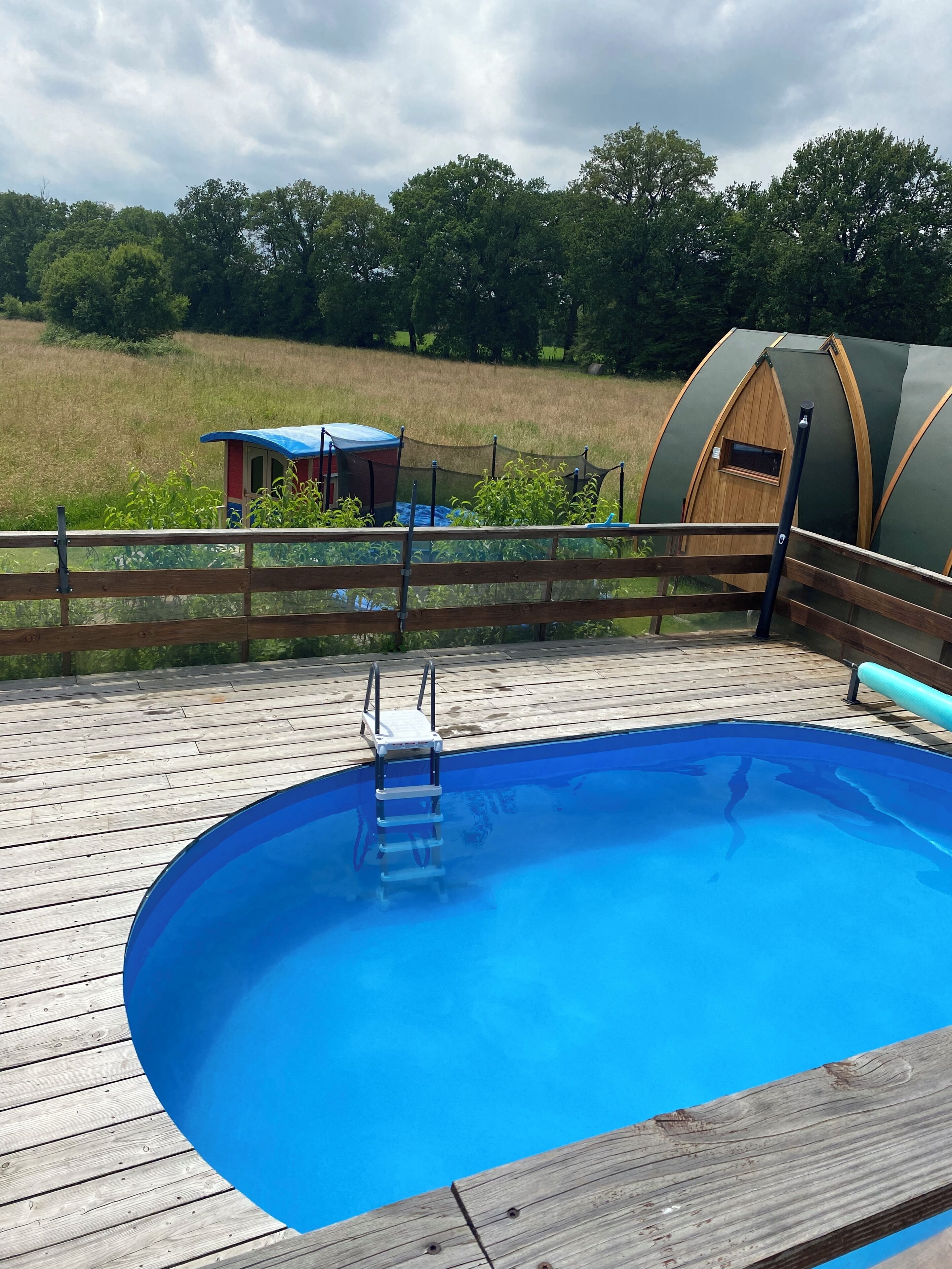 Ein Schwimmbecken mit Holzterrasse, einer kleinen Leiter und einem eingezäunten Bereich mit einer grünen Struktur im Hintergrund.