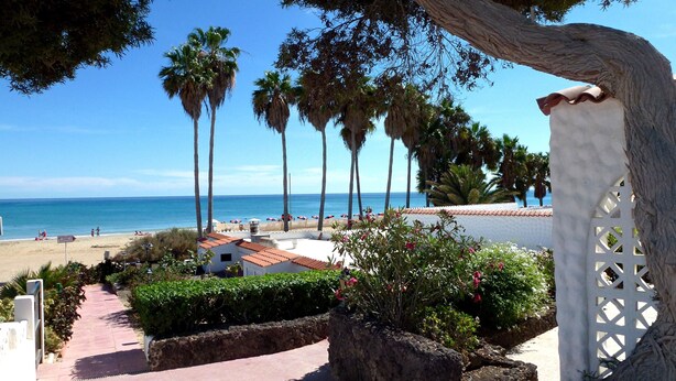 Vista costera con un camino pavimentado, palmeras y una playa al fondo.