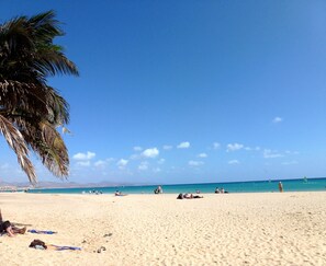 On the beach, sun-loungers, beach towels - Luxury studio for beach lovers - apartment by the sea under palm trees (Costa Calma)