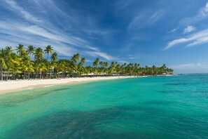 Une plage bordée d’une rangée de palmiers et dotée d’un rivage sablonneux.