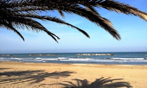 Nära stranden