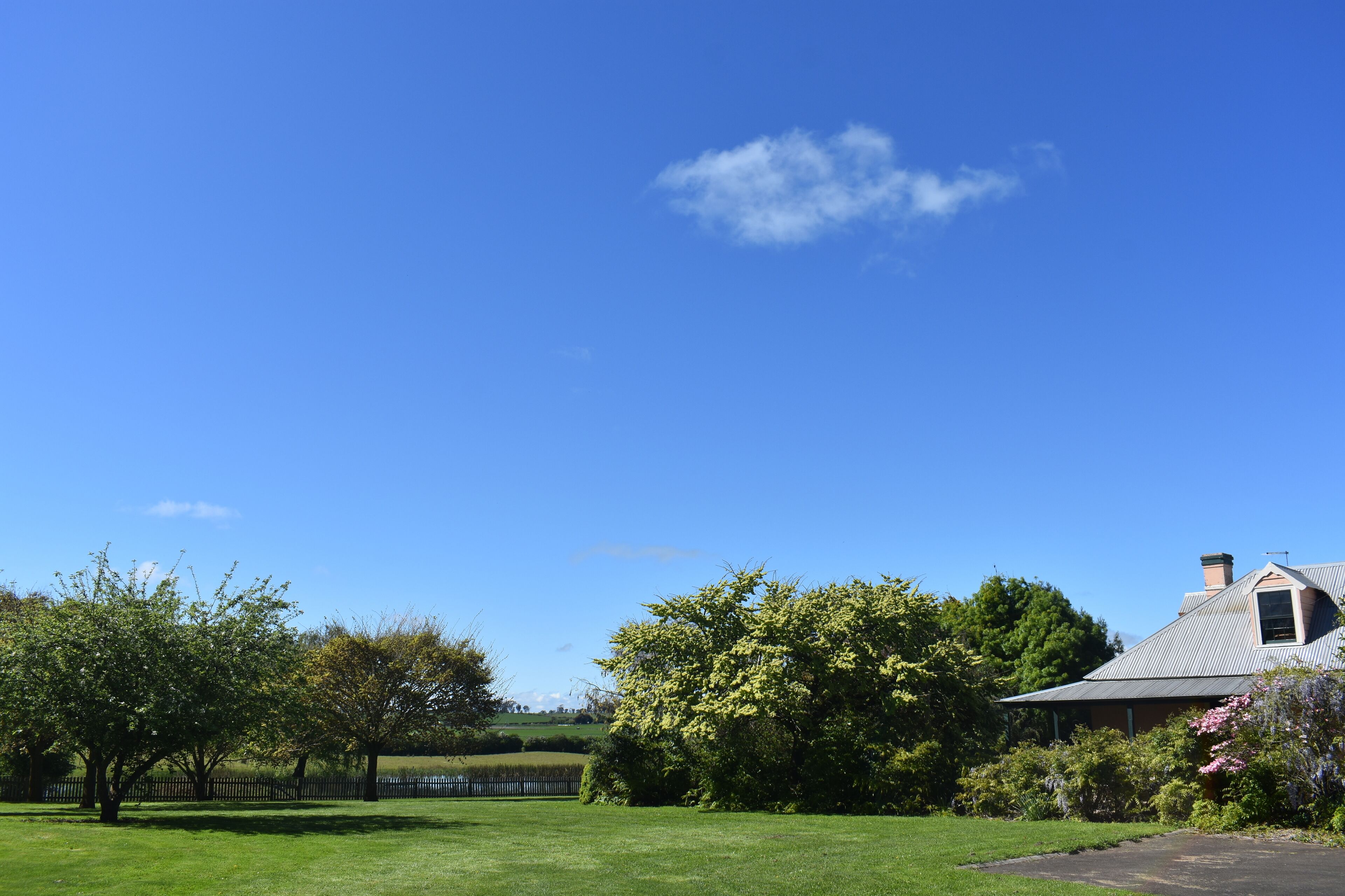 A house with a sloped roof, surrounded by a well-maintained lawn and trees.