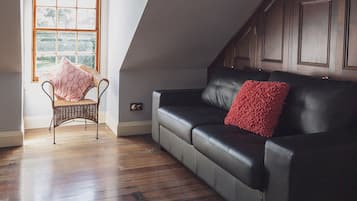 Smart TV, fireplace, Netflix, books
