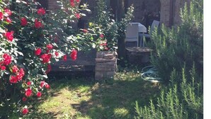A garden with red flowers, a stone bench, and a grill area. - House in the Cortona countryside. Romantic Little House (Fratticciola)