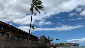 A beach with a concrete wall, palm trees, and a building in the background.