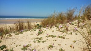 A beach with sand, sparse vegetation, and the ocean in the background. - BEAUTIFUL APARTMENT 400 M FROM THE BEACHES OF MIMIZAN WITH INTERNET  (Mimizan)