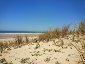 On the beach